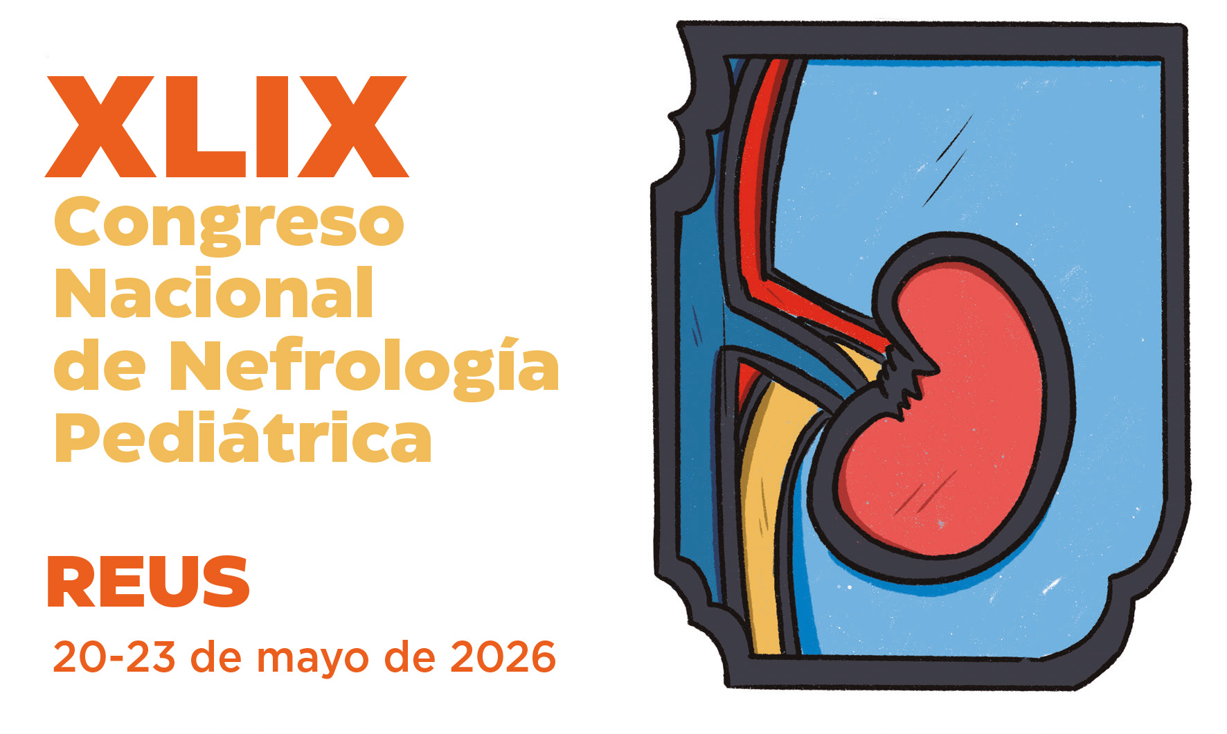 Imatge de XLIX Congrés Nacional de Nefrologia Pediàtrica